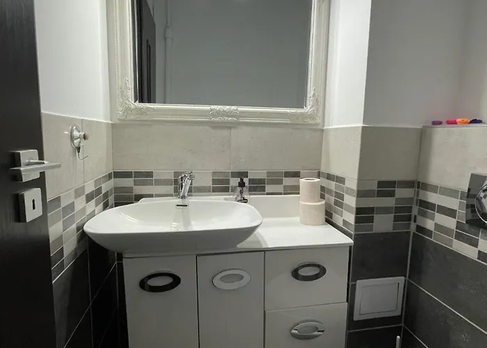 Central Apartment Craiova